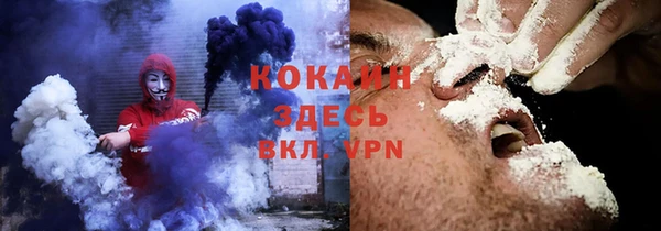 хмурый Алексин