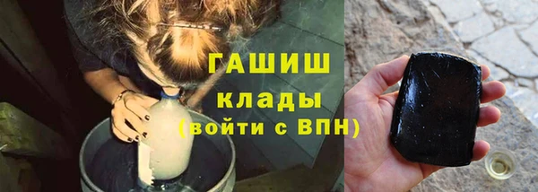 хмурый Алексин