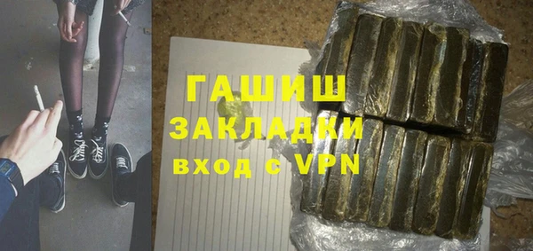 хмурый Алексин