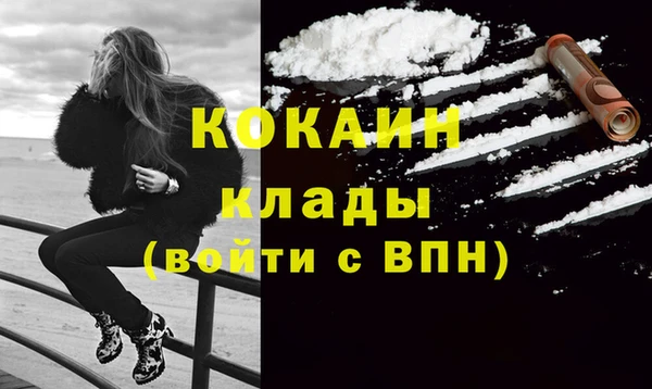 стаф Пересвет