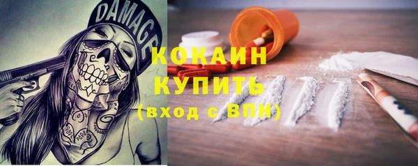 стаф Пересвет