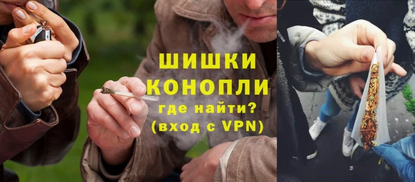 шишки Алзамай