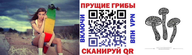 Псилоцибиновые грибы прущие грибы  дарнет шоп  MEGA ссылка  Алупка 